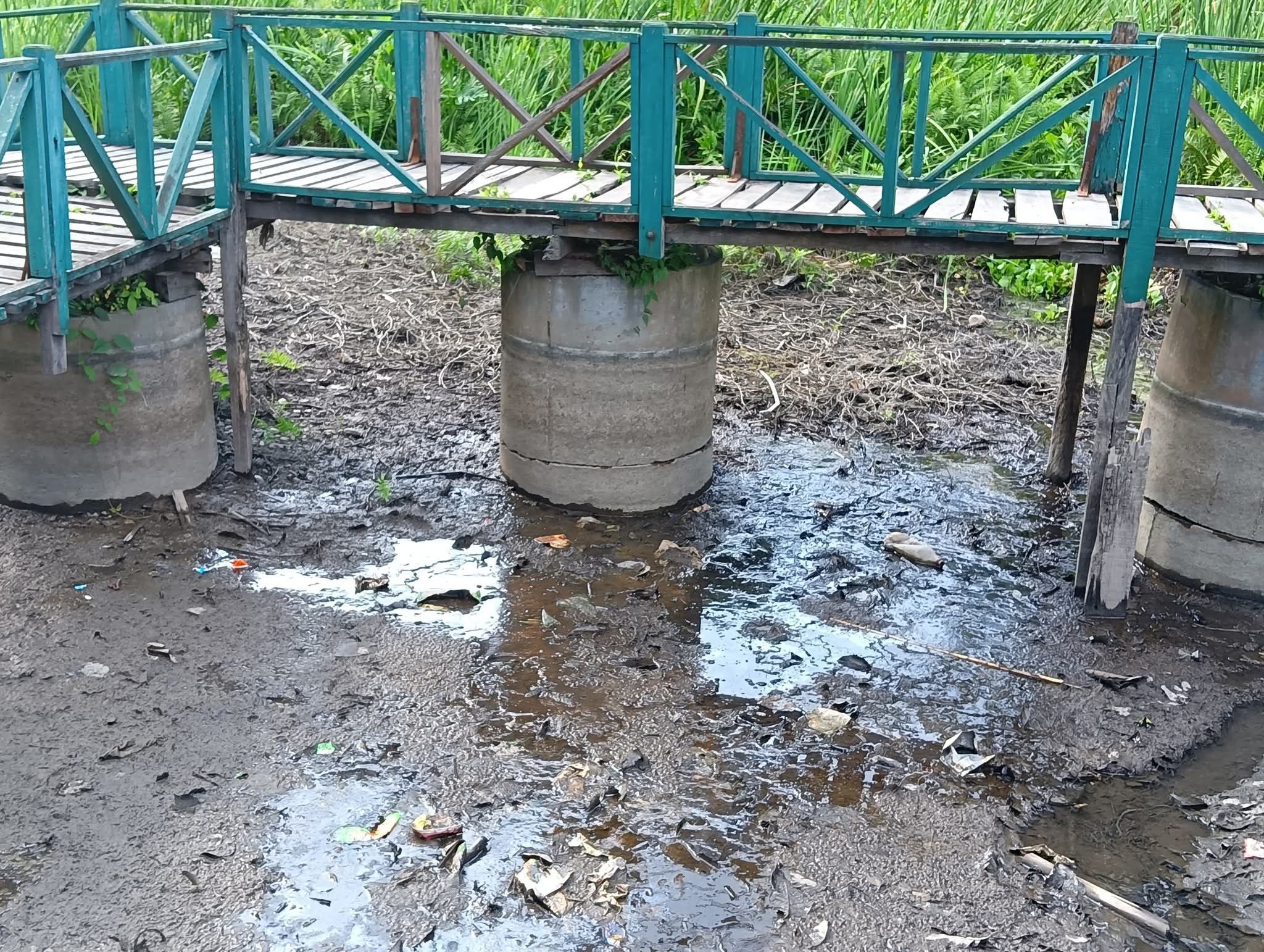 खडेरीले सुक्दै बेतना सिमसार: म*र्न थाले माछा, सिँचाइमा समस्या