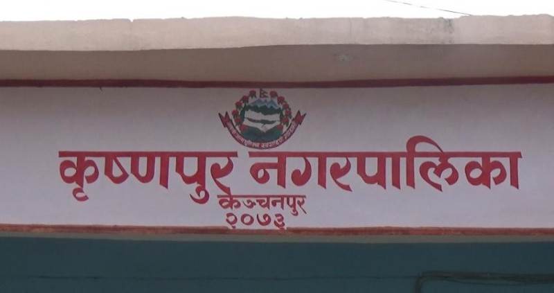 कृष्णपुर नगरपालिकामा निःशुल्क शव बाहन सेवा सञ्चालन