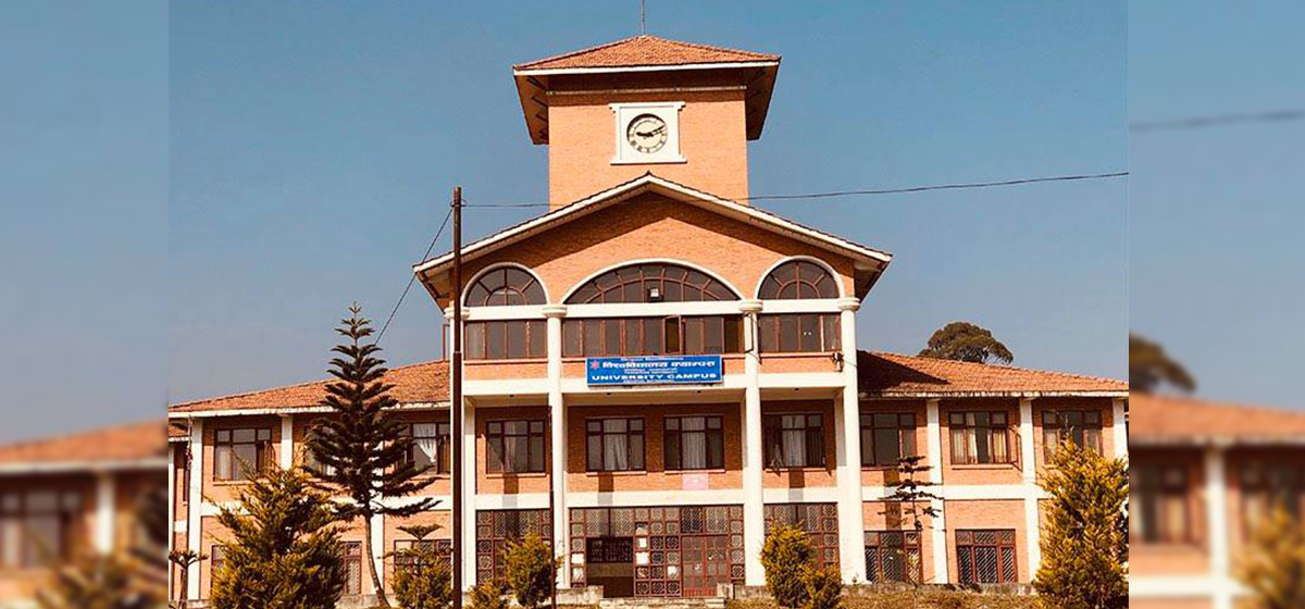 Image of https://mayorsap.com/storage/photos/10/68c26ab1e60f7.jpg