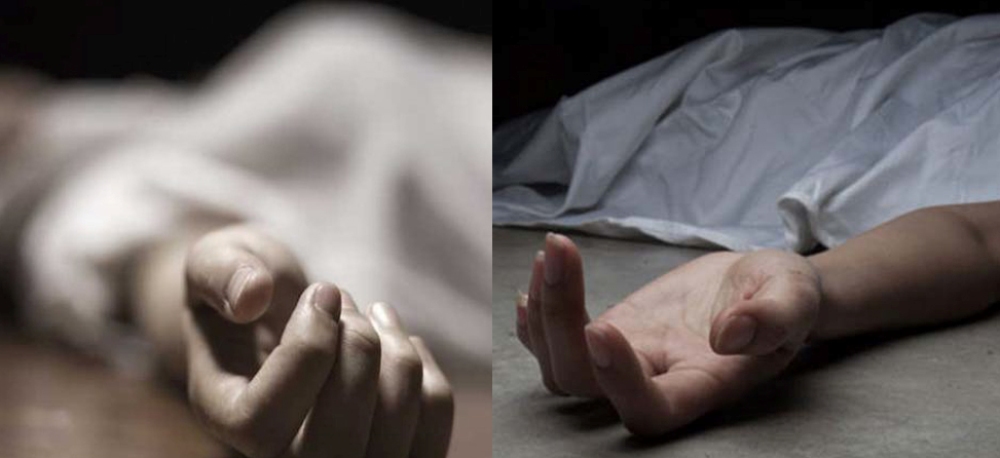 Image of https://mayorsap.com/storage/photos/10/68c27487c46c0.jpg