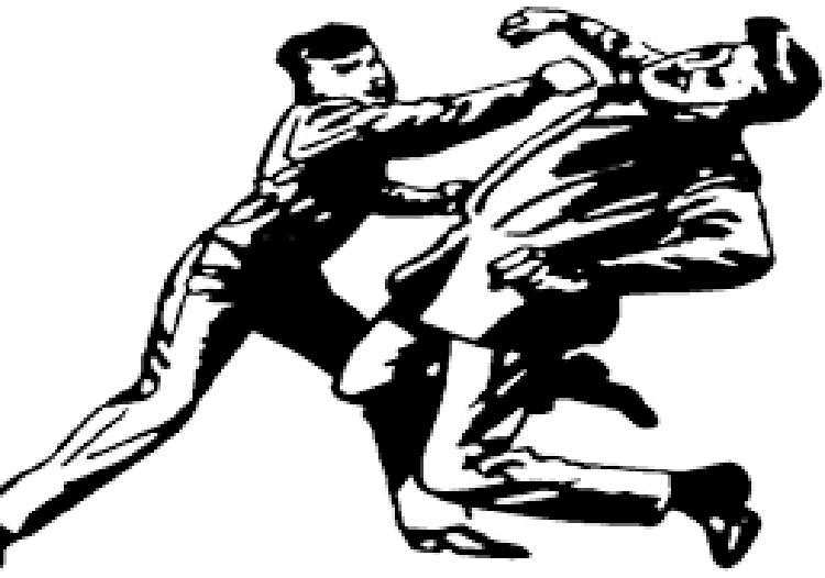 Image of https://mayorsap.com/storage/photos/10/68d2346878a3b.jpg