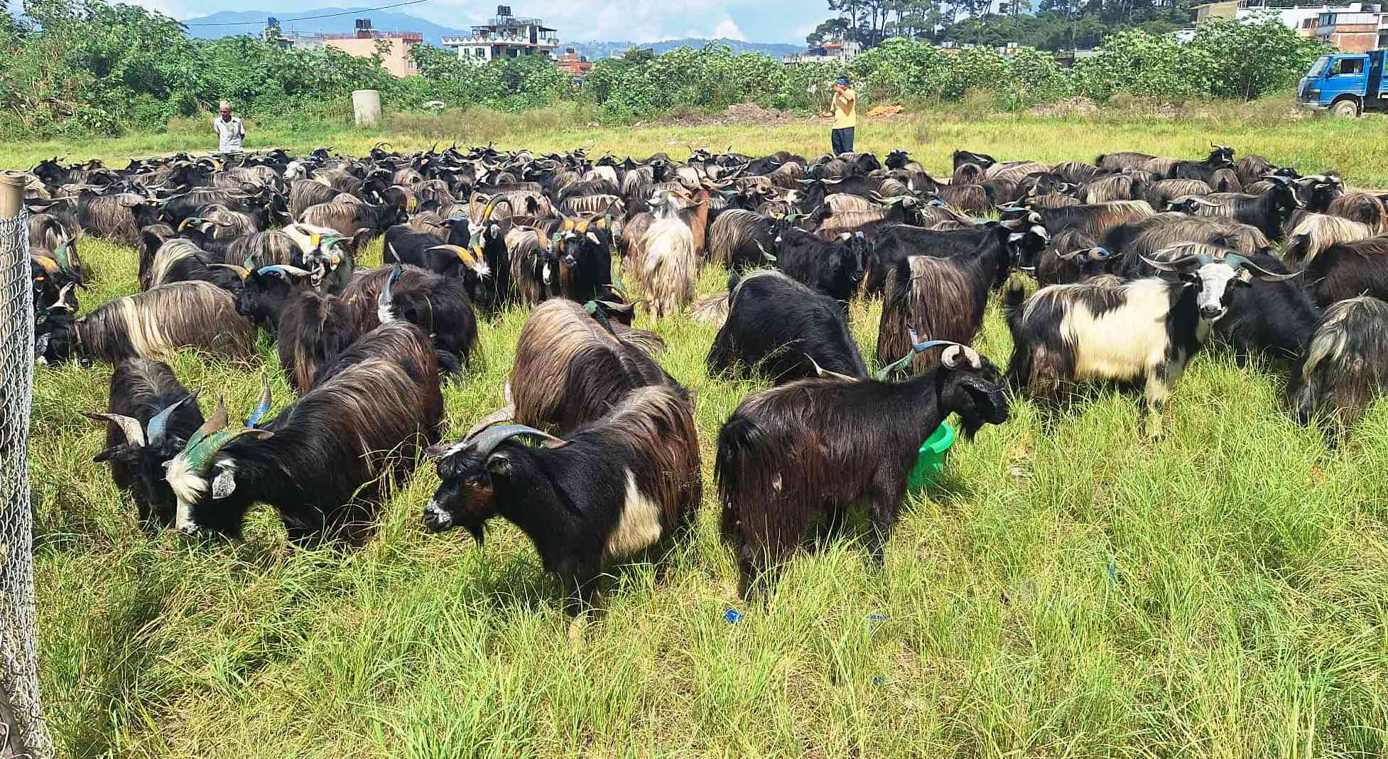 Image of https://mayorsap.com/storage/photos/10/68d3e1720c588.jpeg