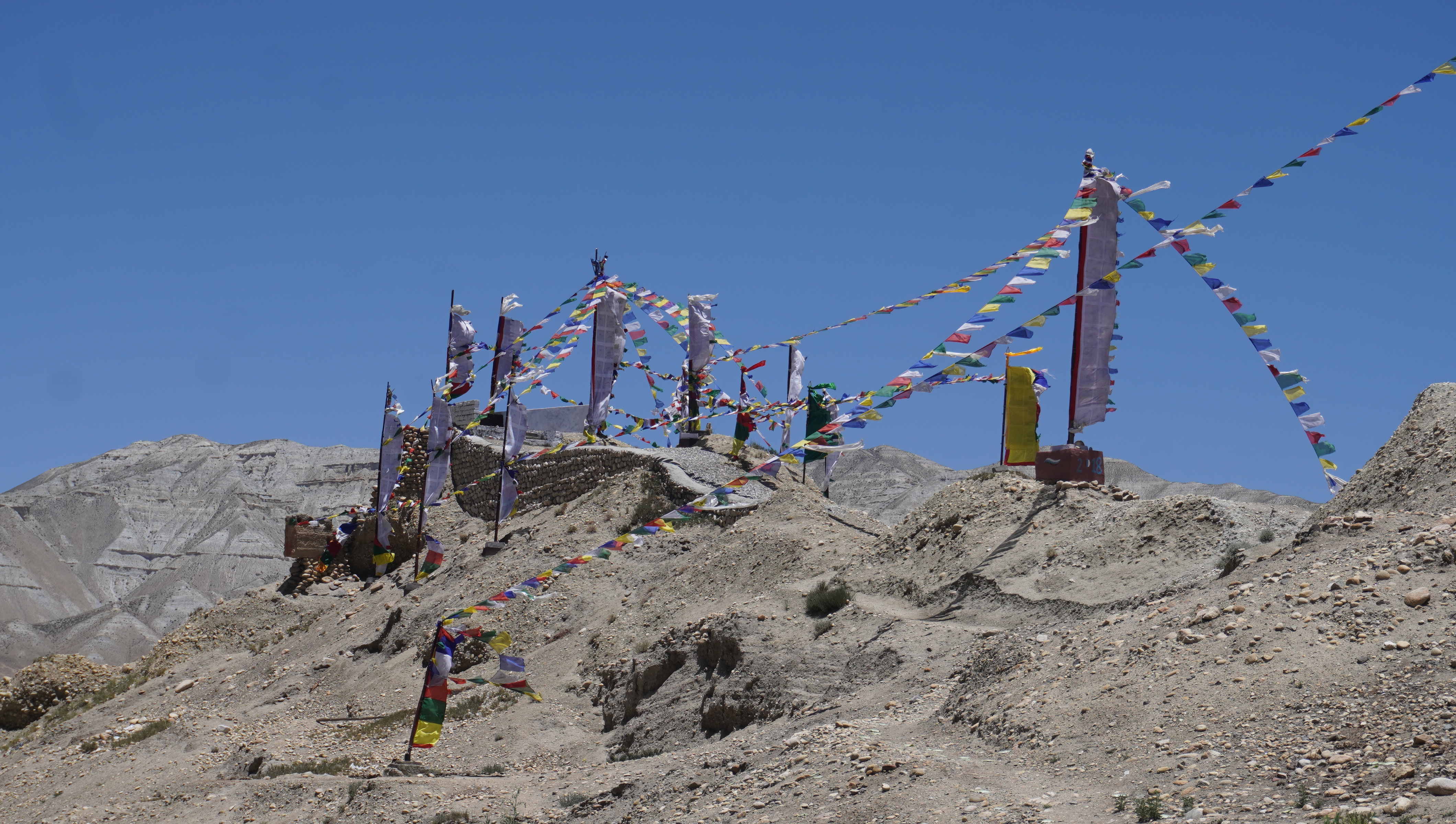 Image of https://mayorsap.com/storage/photos/10/68da1d318880f.JPG