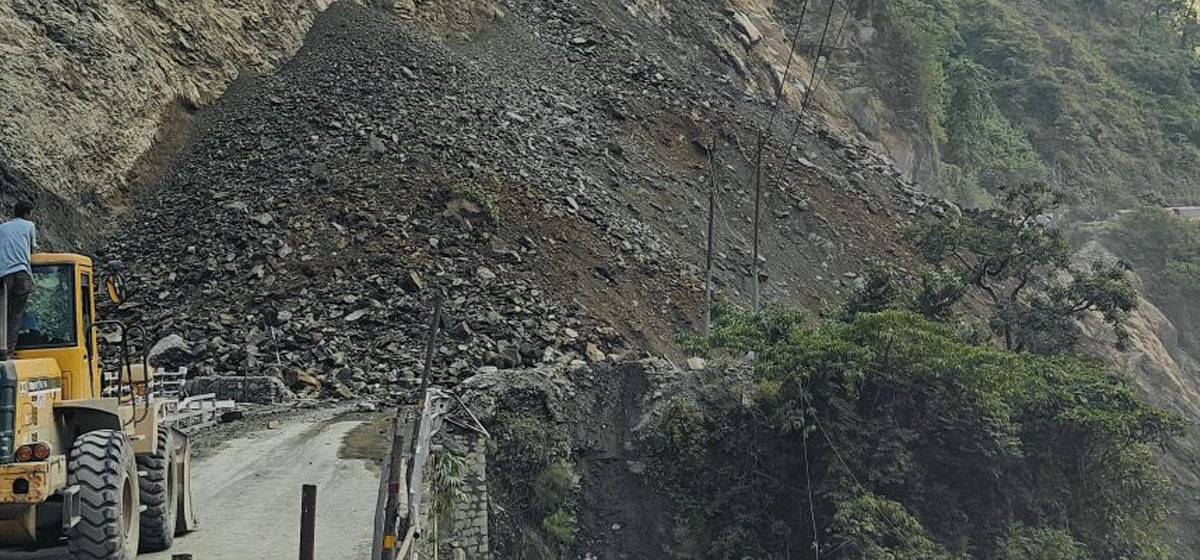 Image of https://mayorsap.com/storage/photos/10/68da39e37cd30.jpg