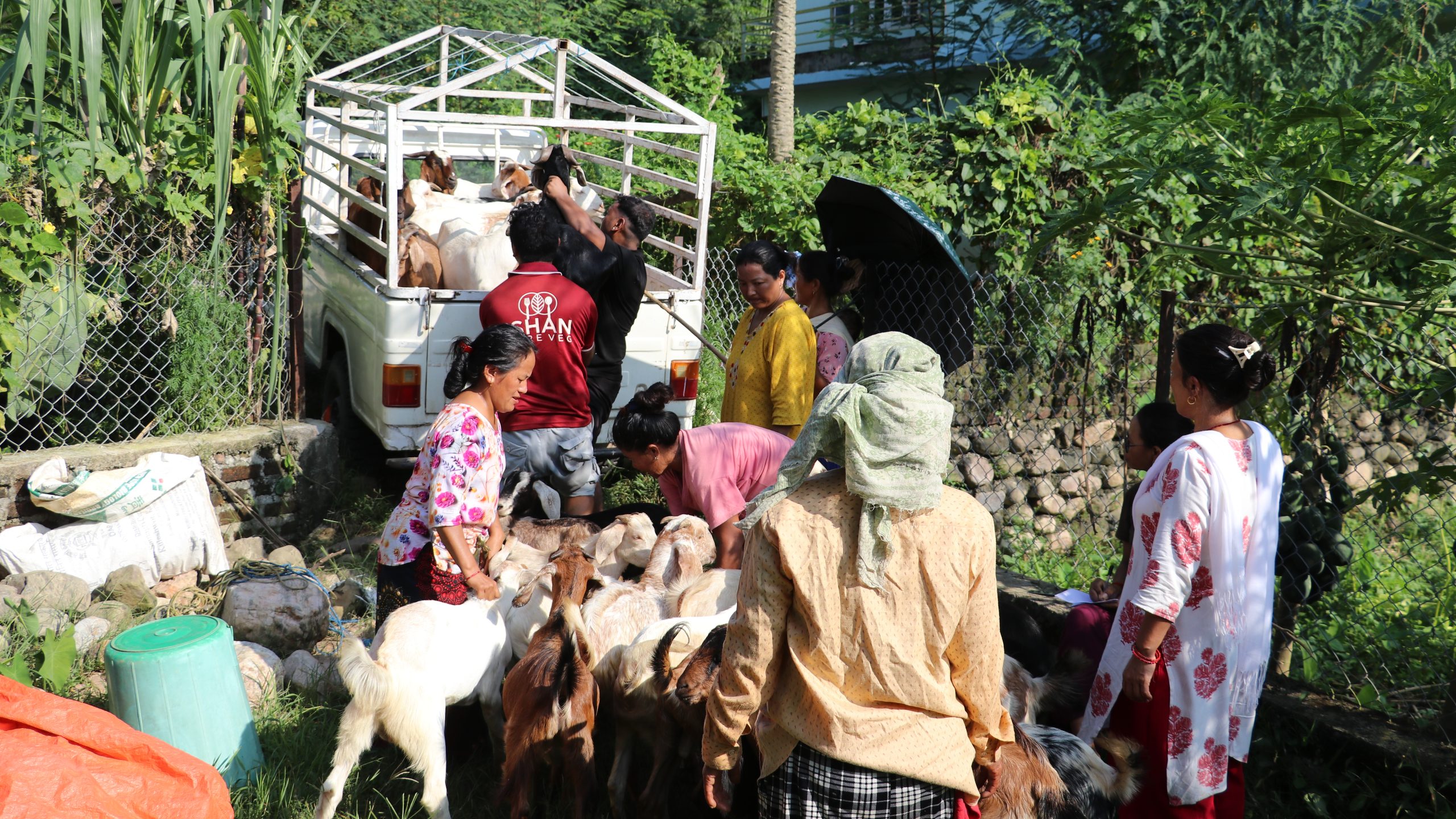 Image of https://mayorsap.com/storage/photos/10/68dcf729e1d7e.jpg