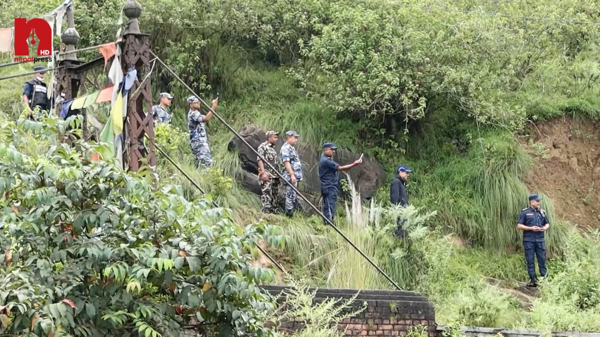 Image of https://mayorsap.com/storage/photos/10/68df9d822b1ed.jpg