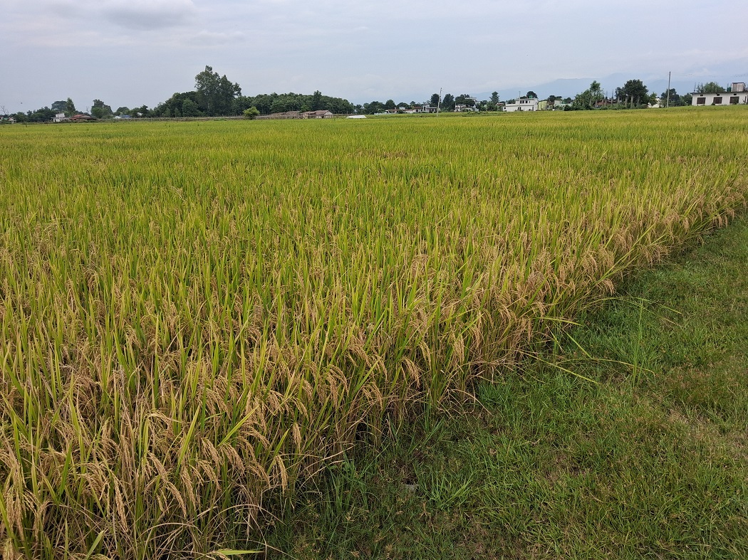 Image of https://mayorsap.com/storage/photos/10/68e4bf472beb5.jpg