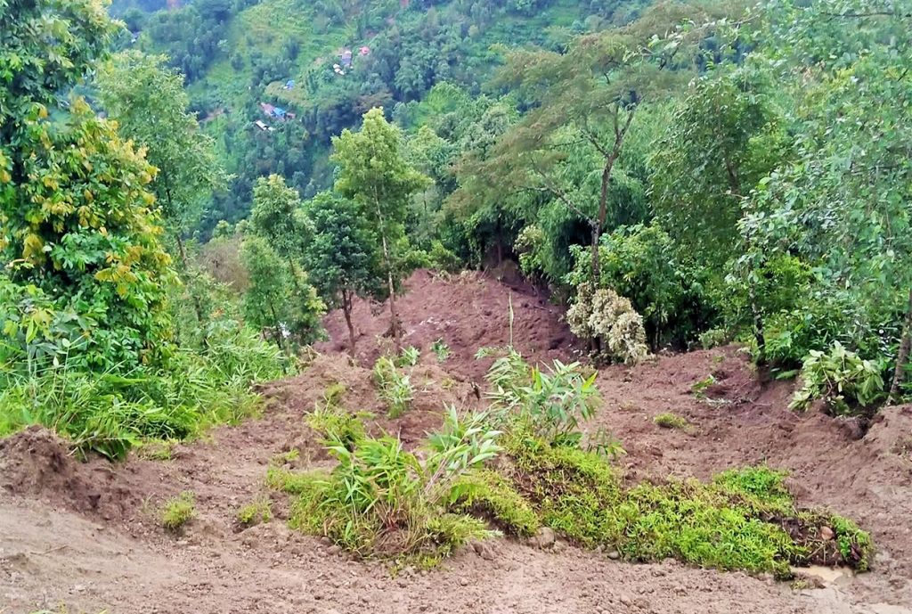 Image of https://mayorsap.com/storage/photos/10/68e4ccaba6a4a.jpg