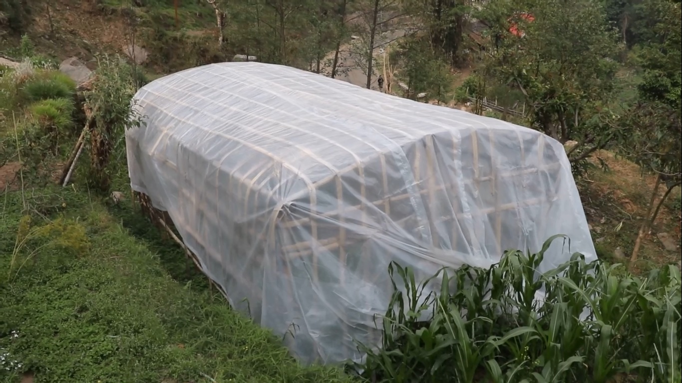 Image of https://mayorsap.com/storage/photos/10/68e60496c4d09.jpg