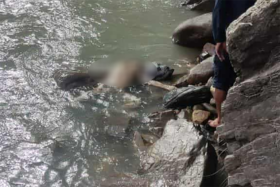 Image of https://mayorsap.com/storage/photos/10/68e76038d7922.jpg