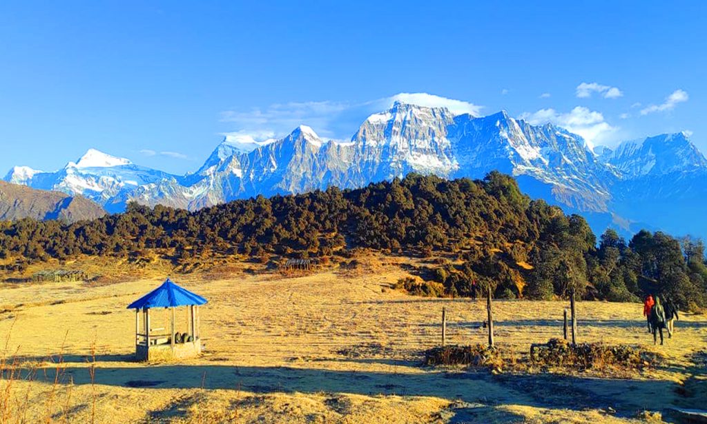 Image of https://mayorsap.com/storage/photos/10/68e868f2a6392.jpg