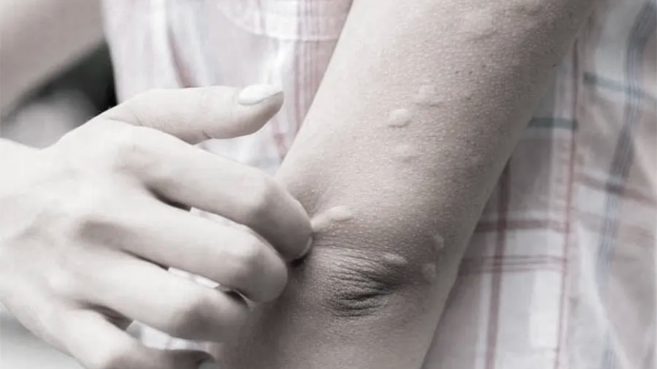 Image of https://mayorsap.com/storage/photos/10/68e8ca9734179.jpg