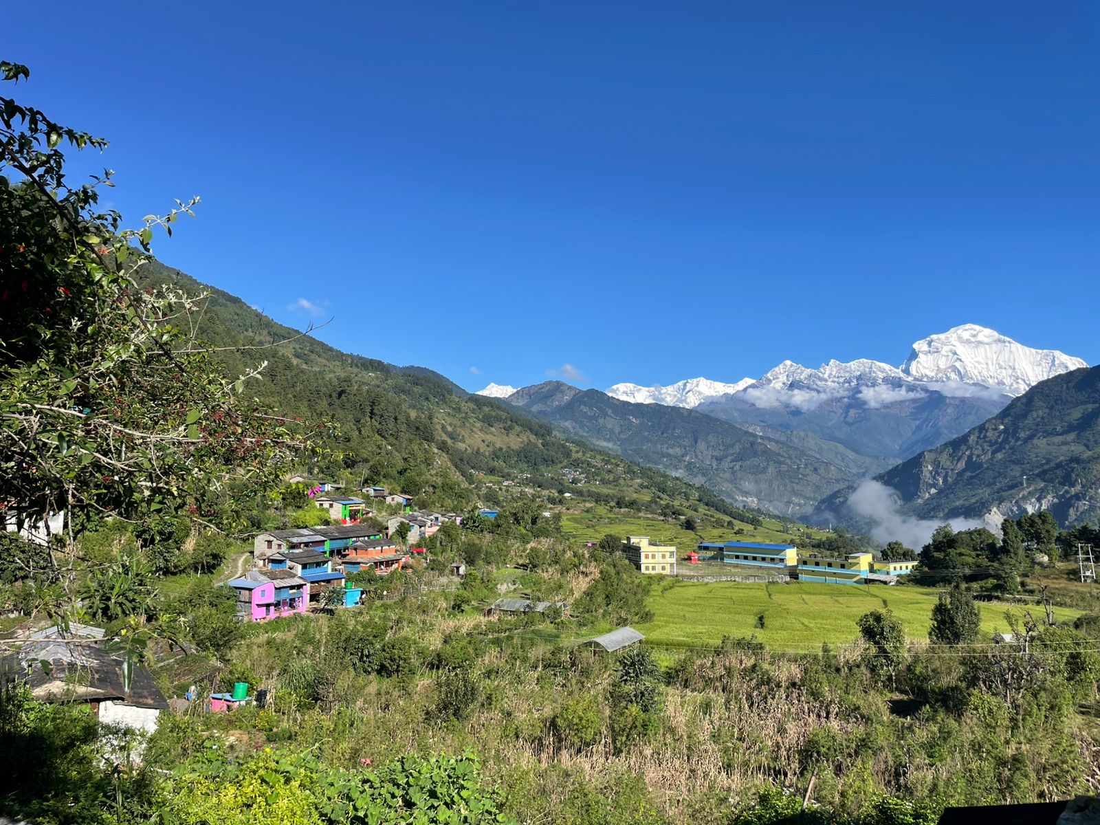 Image of https://mayorsap.com/storage/photos/10/68eb23eab8f0d.jpg