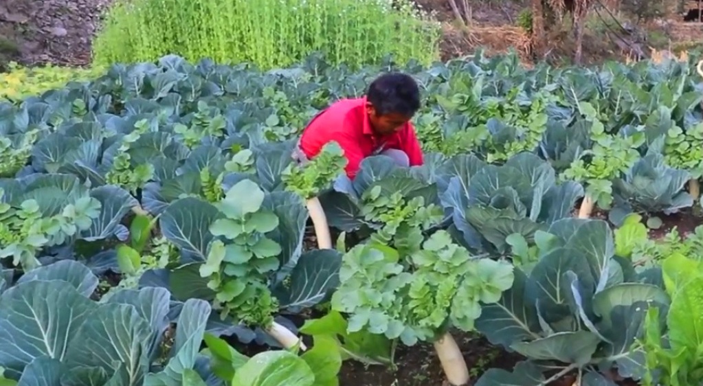 Image of https://mayorsap.com/storage/photos/10/68eb5607dbab0.jpg