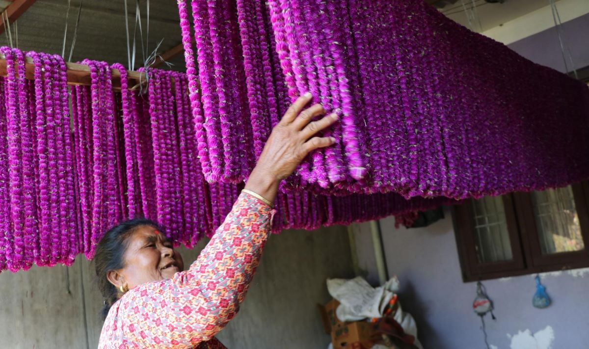 Image of https://mayorsap.com/storage/photos/10/68ec5ad8c75b0.jpg