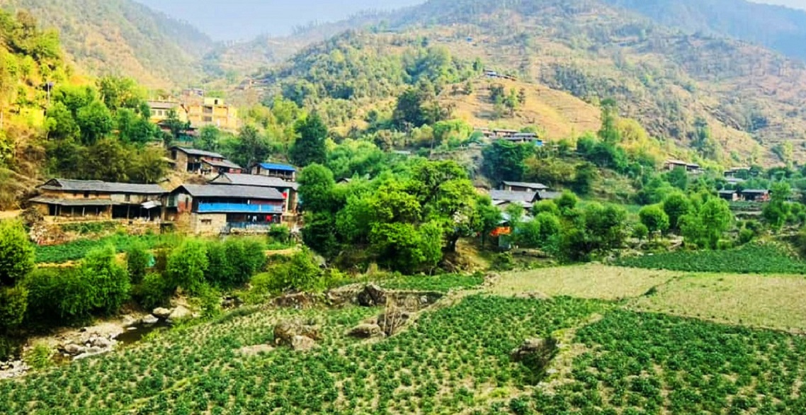 Image of https://mayorsap.com/storage/photos/10/68ec61ccd5d7c.jpg