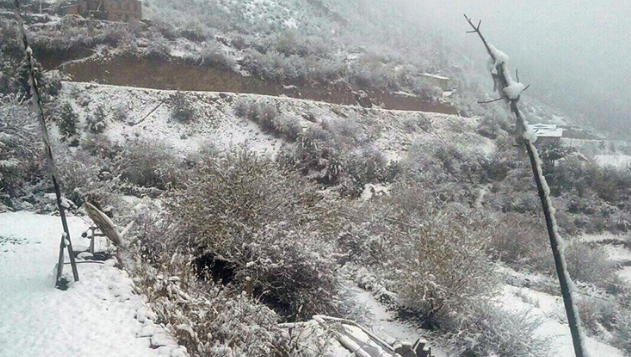 Image of https://mayorsap.com/storage/photos/10/68f204fcc05b8.PNG