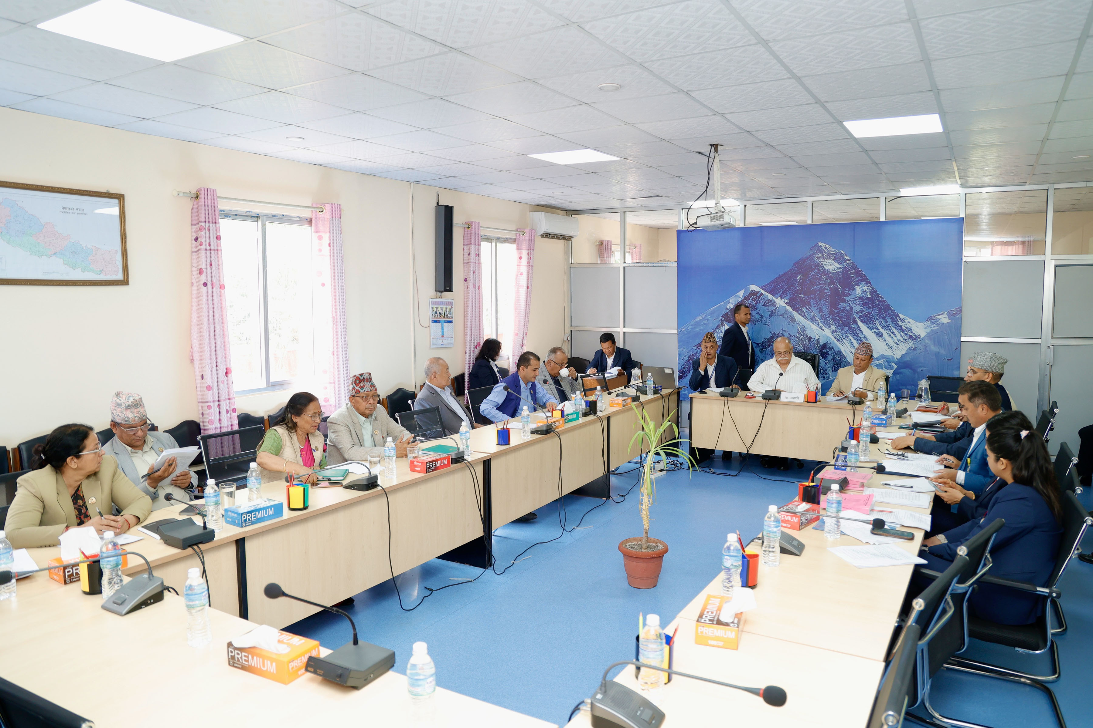 भारतमा विद्युत् निर्यात शुरु