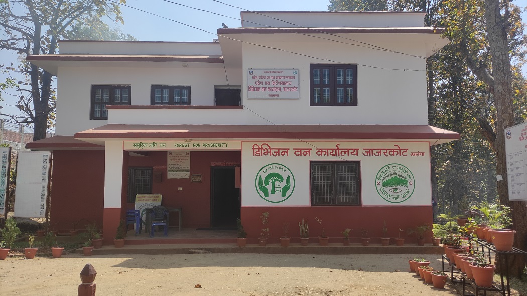 जाजरकोटका डिभिजन वन अधिकृत कार्यकक्षमै कुटिए