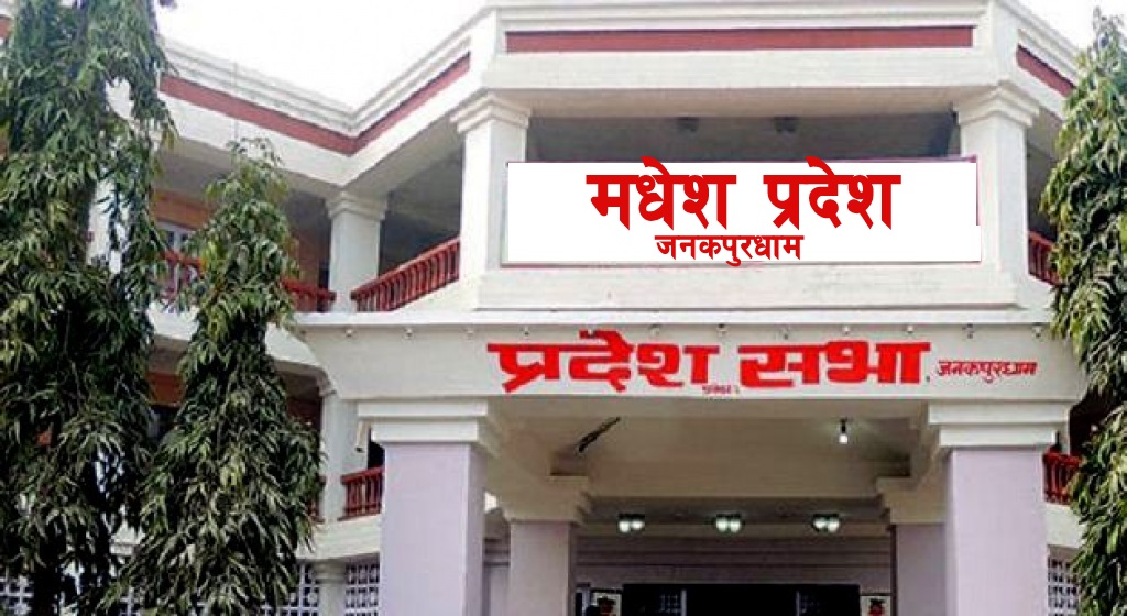 मधेसमा योजनाको अनियमितता छानबिन गर्न संसदीय छानबिन विशेष समिति गठन