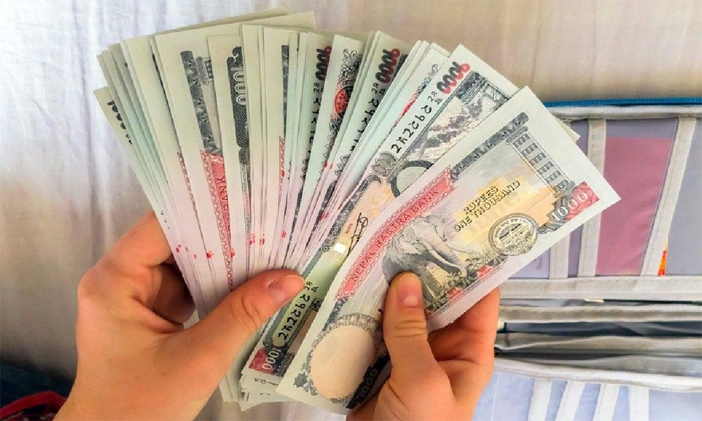 Image of https://mayorsap.com/storage/photos/10/Paisa.jpg