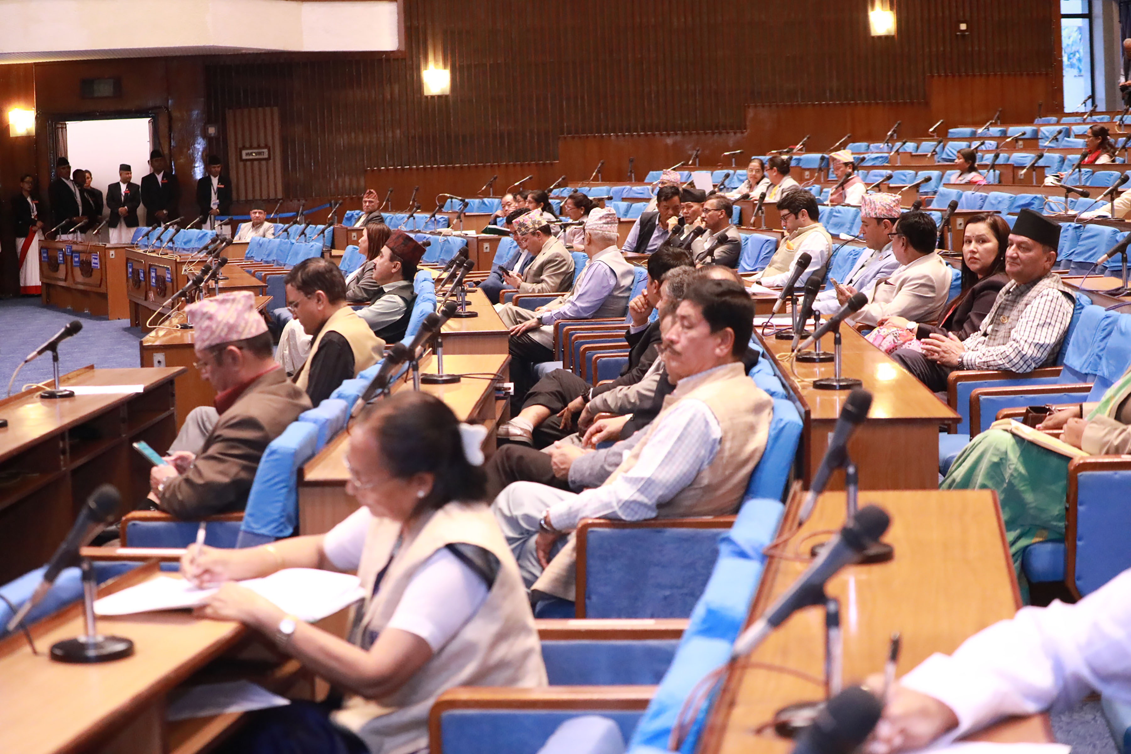 Image of https://mayorsap.com/storage/photos/10/RatnaSherestha-KTM-19RATL1479copy.jpg