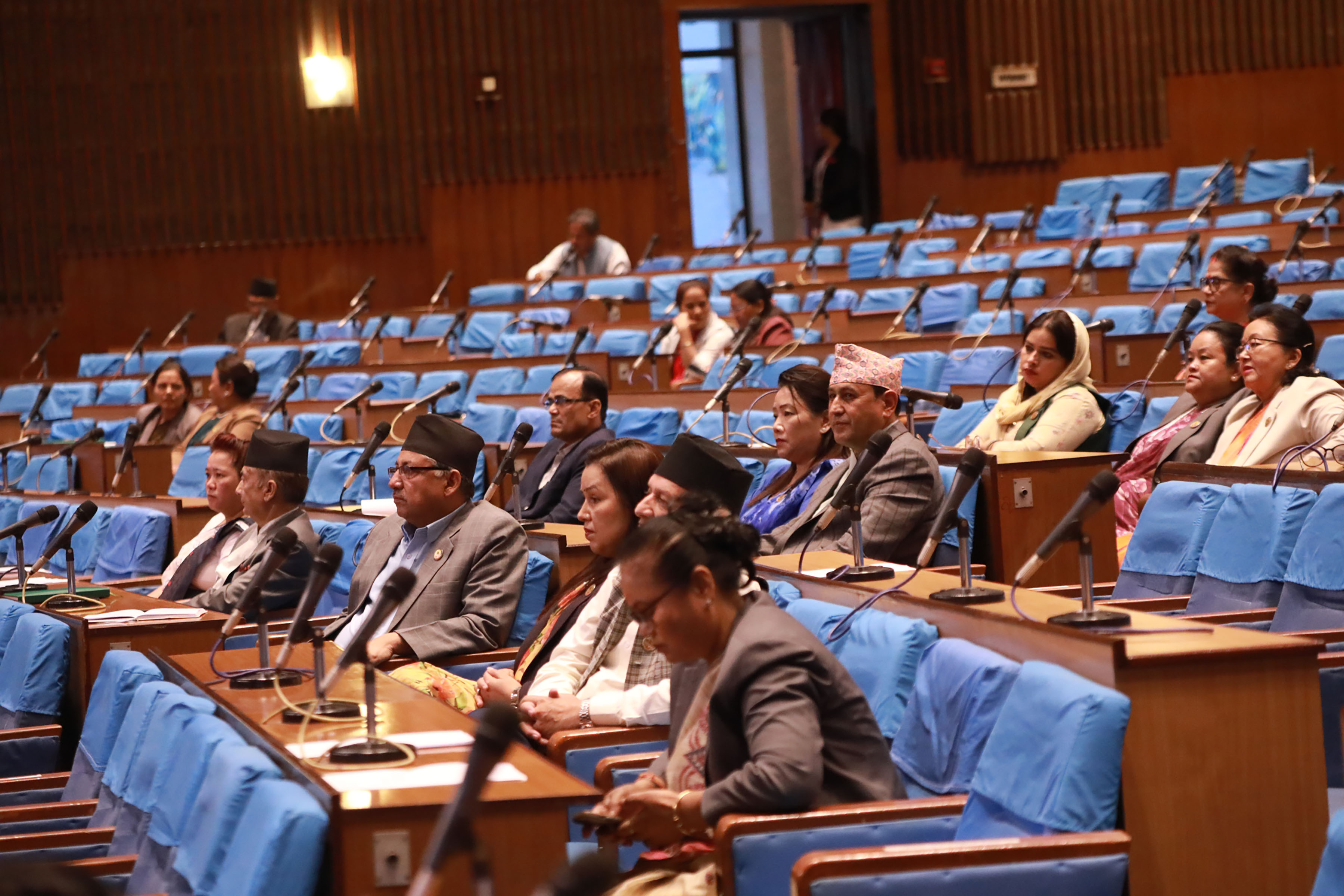 Image of https://mayorsap.com/storage/photos/10/RatnaSherestha-KTM-29RATL0224copy.jpg