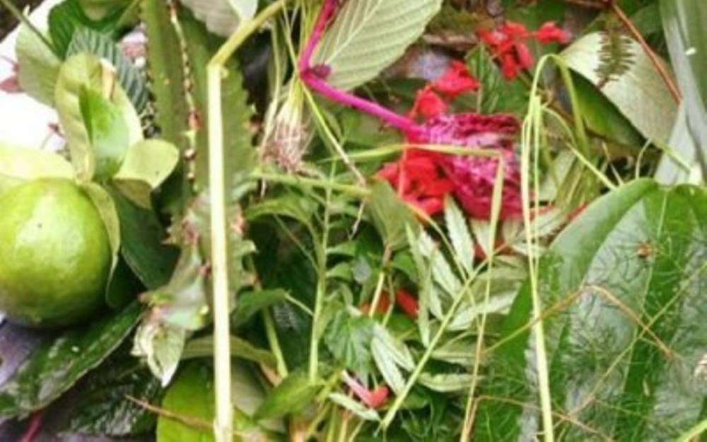 आज साउने सङ्क्रान्ति, 'लुतो' फालेर मनाइँदै