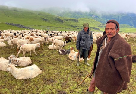 भेडी गोठाला भन्छन्– सरकारले एउटा न्यानो ज्याकेट दिए पनि लाउने थियौँ