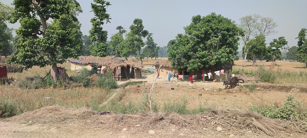 २४ वर्षदेखि न्यायको पर्खाइमा शुक्लाफाँटा आरक्ष विस्थापित
