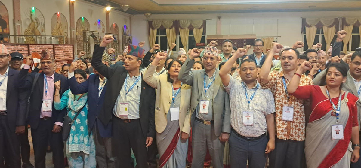 बुद्धिजीवी परिषद्को अध्यक्षमा थपलिया निर्वाचित