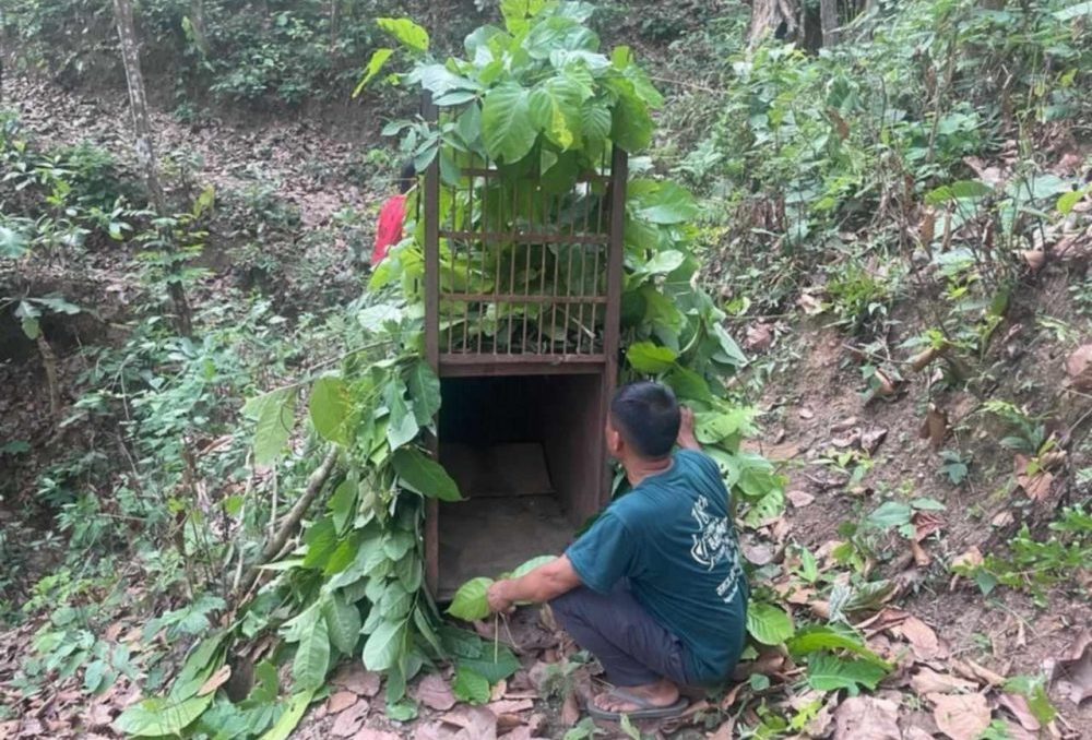 Image of https://mayorsap.com/storage/photos/10/chituwa-khor.jpg