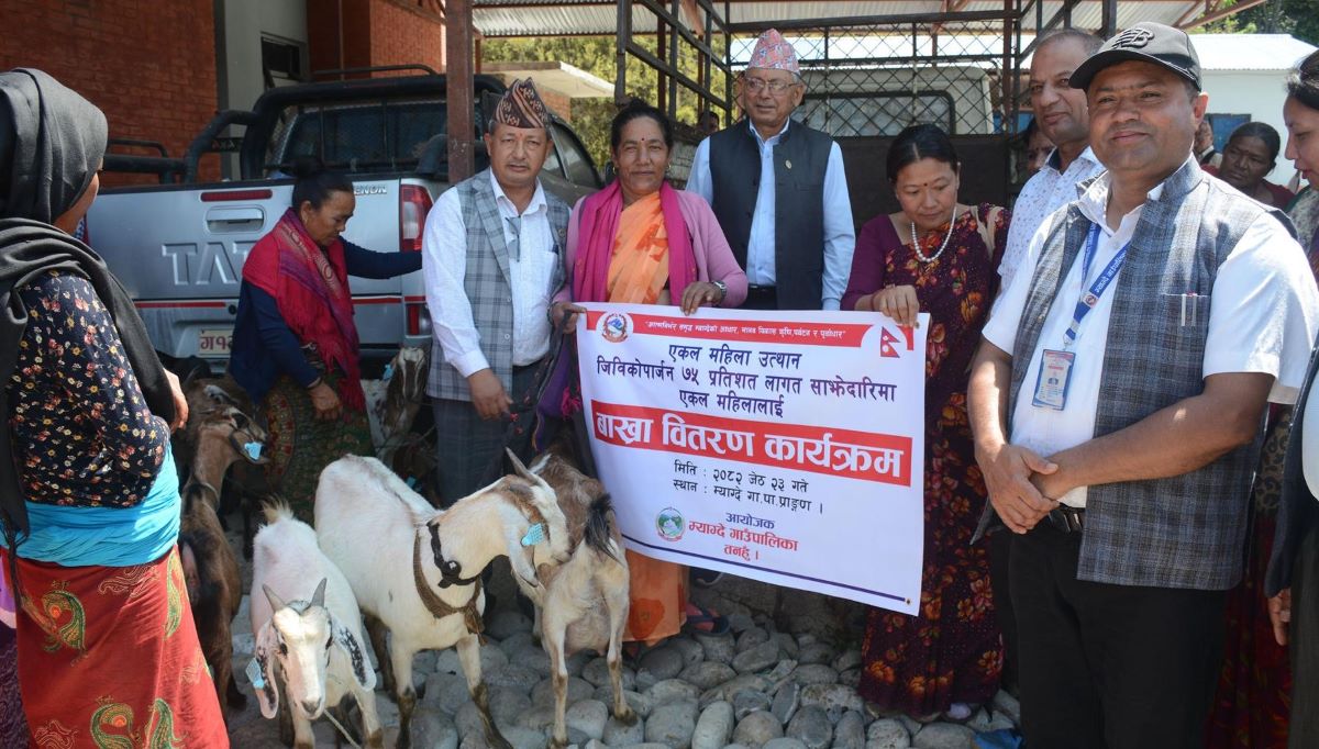 तनहुँको म्याग्दे गाउँपालिकामा एकल महिलालाई अनुदानमा बाख्रा