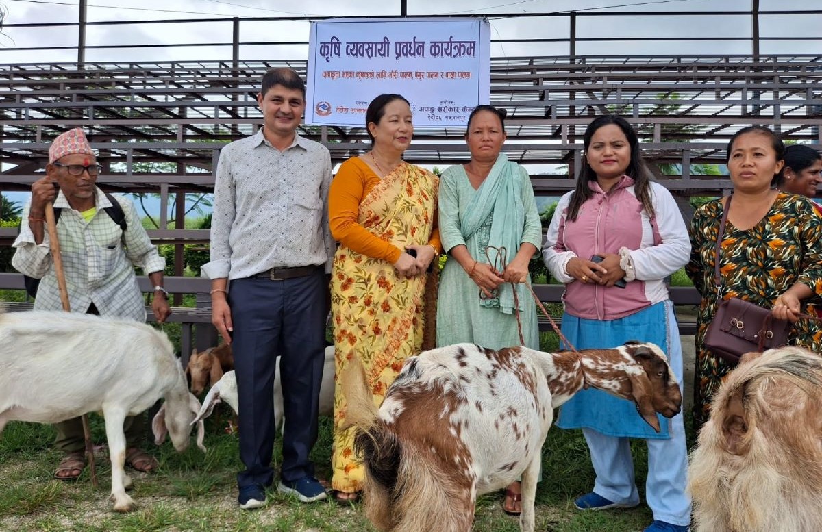 अपांग किसानलाई हेटौंडा उपमहानगरको सहयोग, अनुदानमा दियो बाख्रा र बंगुर