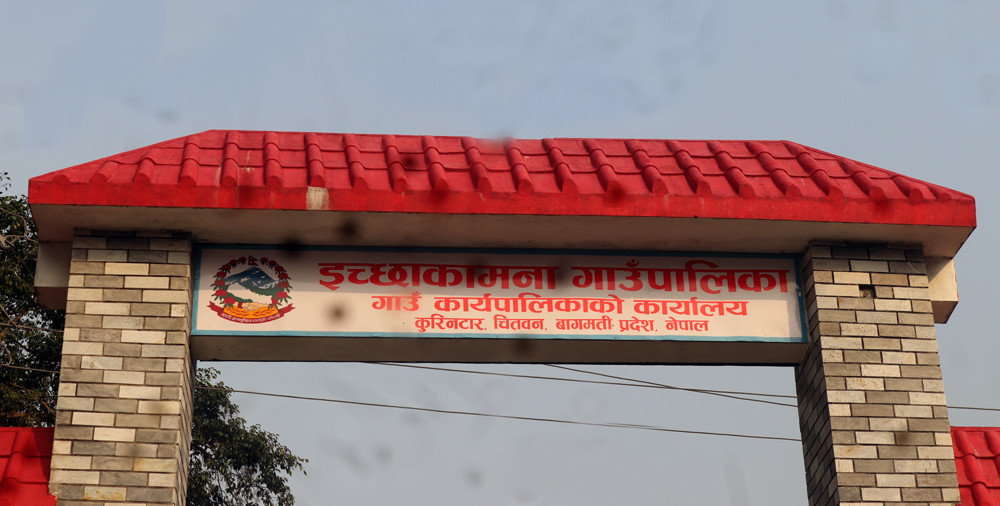 इच्छाकामना गाउँपालिकामा नमूना बगैँचा बनाउन किसानलाई सुन्तलाको बिरुवा वितरण