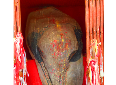 हात्तीढुङ्गाको प्रवर्द्धनका लागि पूर्वधार निर्माण गर्दै जैमिनी नगरपालिका