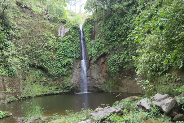 Image of https://mayorsap.com/storage/photos/10/jharna.PNG