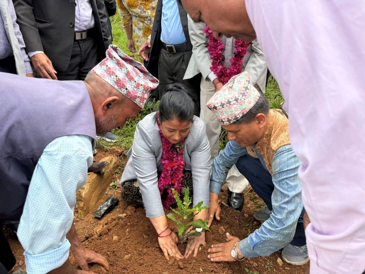 Image of https://mayorsap.com/storage/photos/10/katus-ropan.jpg