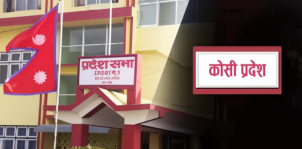 कोशी प्रदेशमा नीति तथा कार्यक्रम बहुमतले पारित