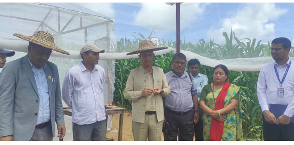 Image of https://mayorsap.com/storage/photos/10/krishi.PNG