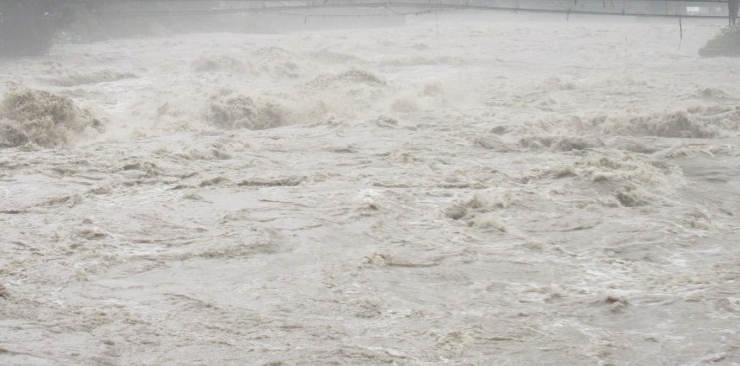 Image of https://mayorsap.com/storage/photos/10/mahakali9.PNG