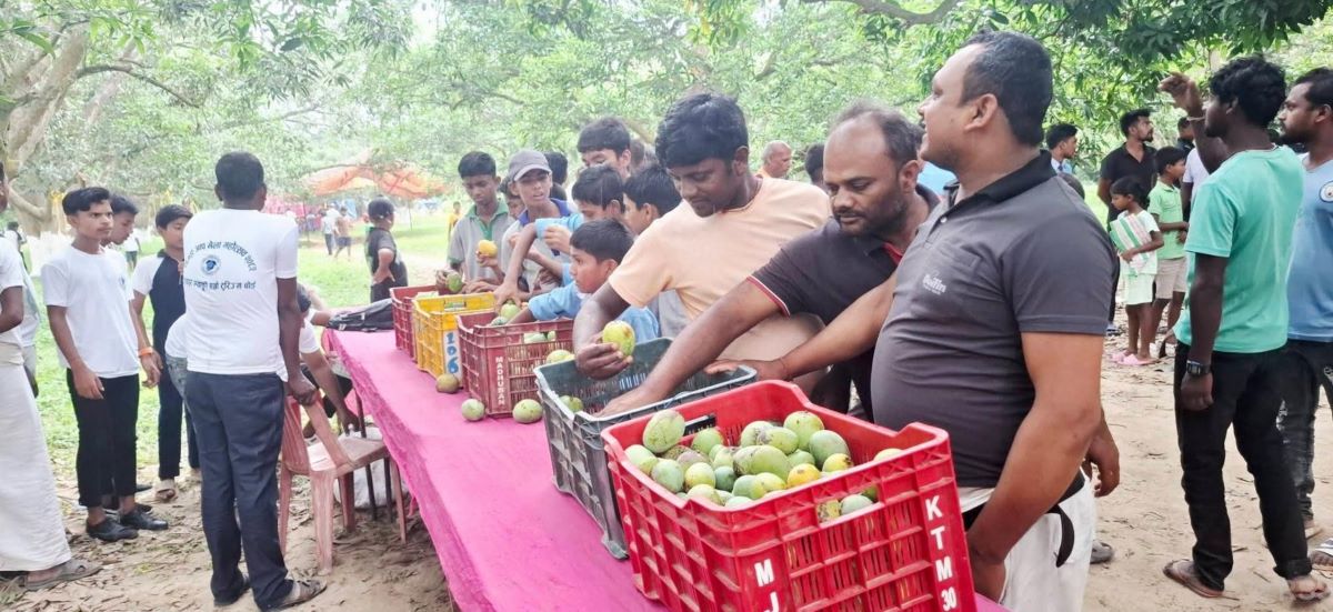 धनुषामा आँप मेला, १० लाखभन्दा बढीको कारोबार