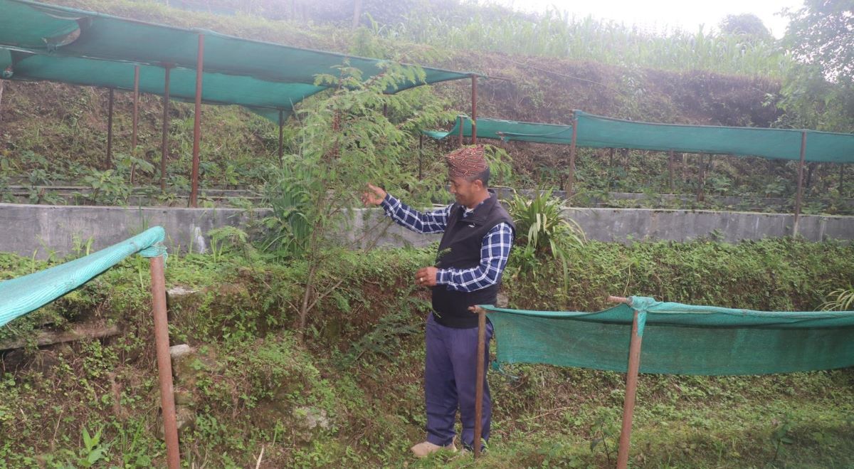 Image of https://mayorsap.com/storage/photos/10/premdorchi-sherpa.jpg
