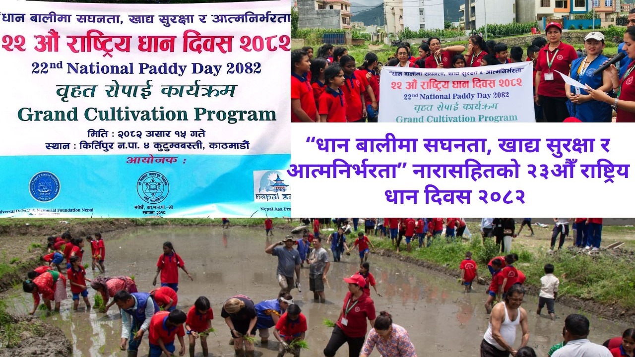 धान दिवसको अवसरमा कीर्तिपुरमा बृहत रोपाइँ कार्यक्रम सम्पन्न