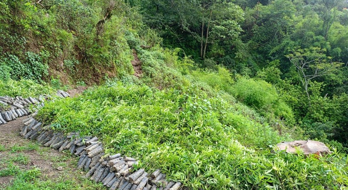 Image of https://mayorsap.com/storage/photos/10/timur-kheti.jpg
