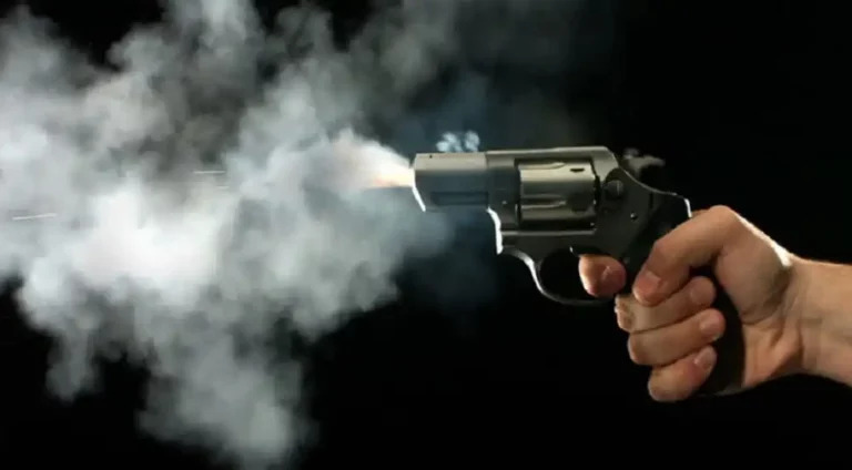 Image of https://mayorsap.com/storage/photos/shares/1735102396.jpg