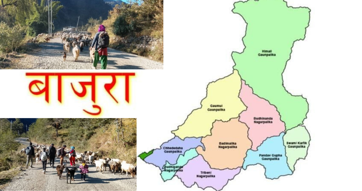 Image of https://mayorsap.com/storage/photos/shares/bajura-election.png