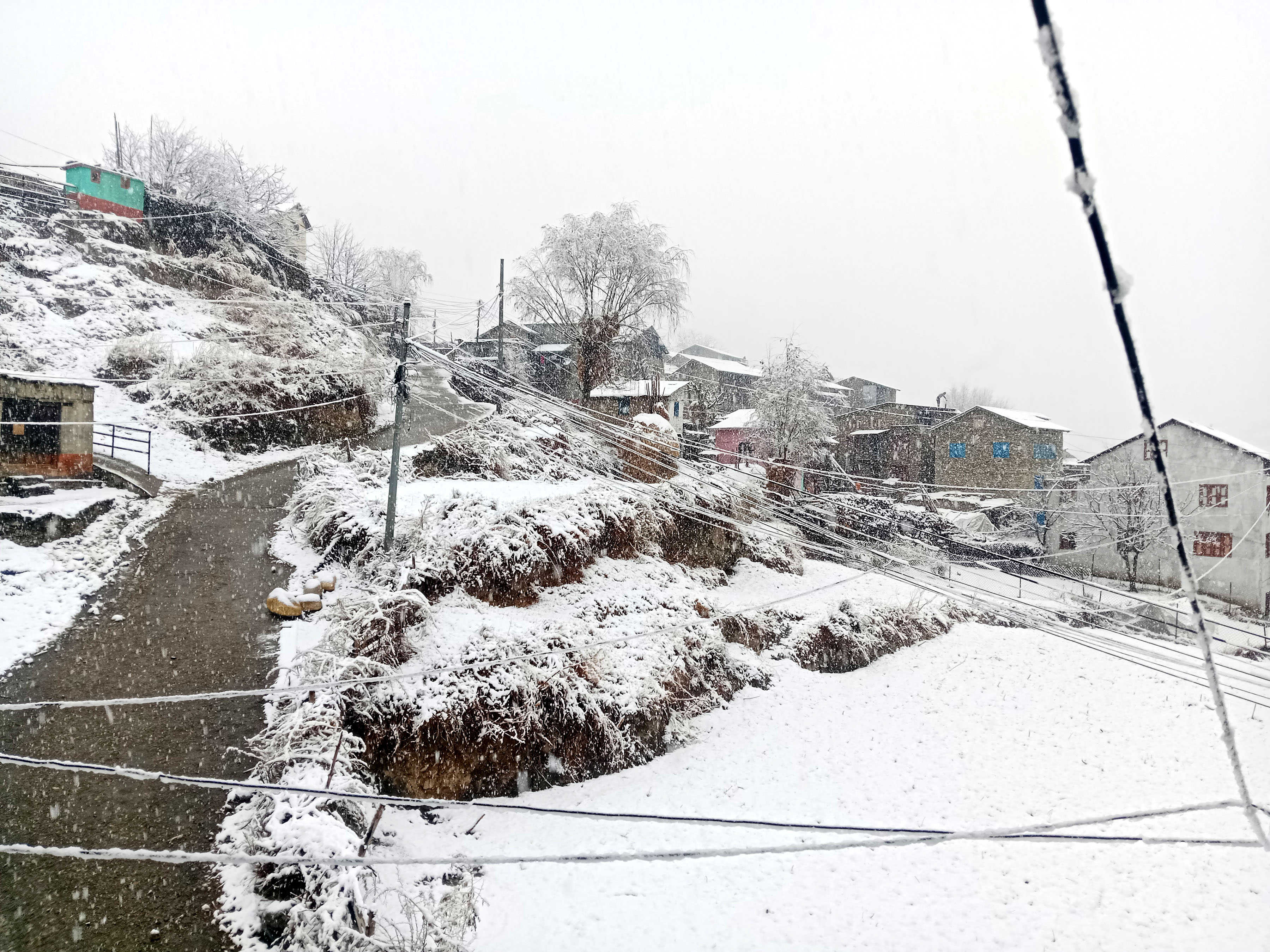 Image of https://mayorsap.com/storage/photos/shares/br-jumla-img-20260124-075410.jpg