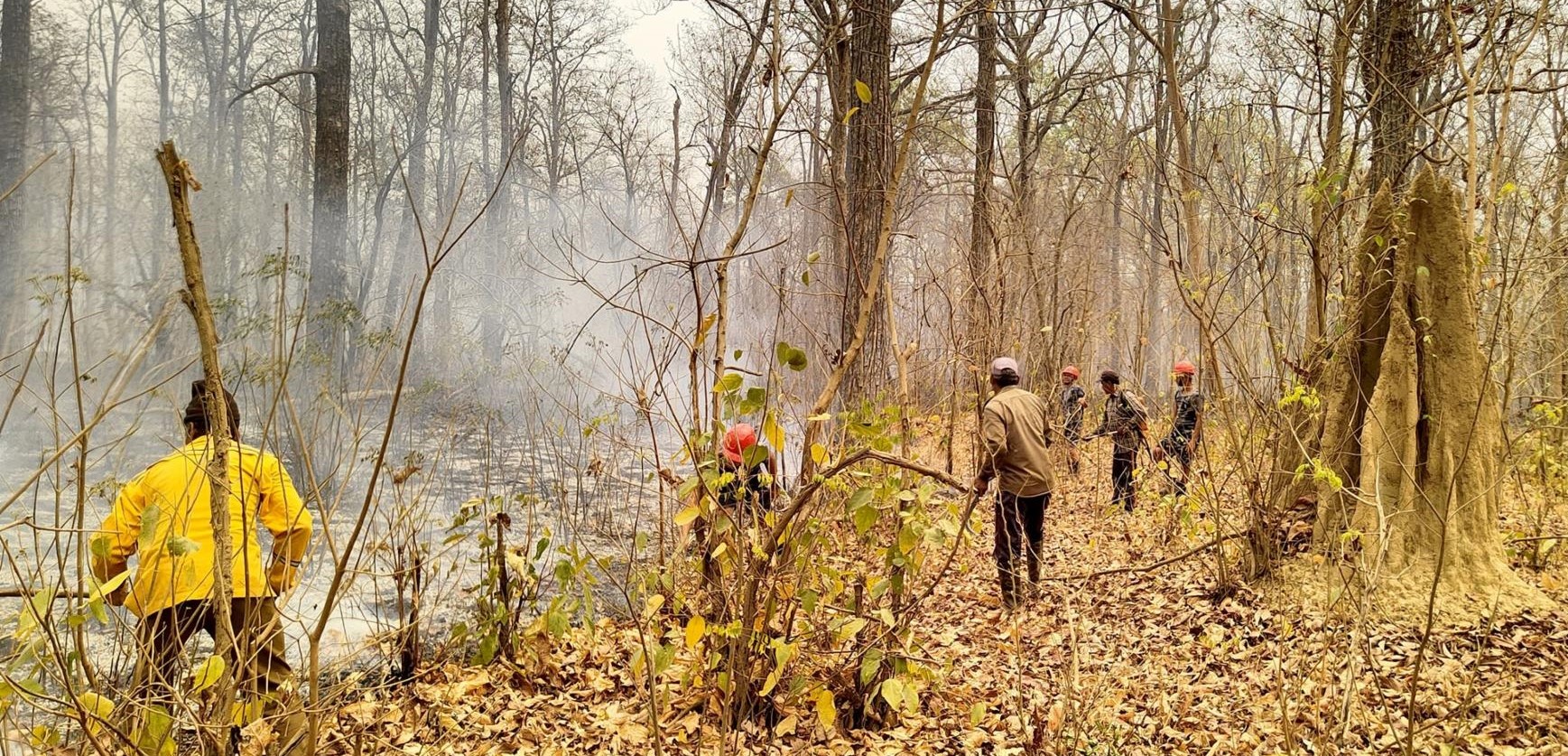 Image of https://mayorsap.com/storage/photos/shares/dadhelo.jpg