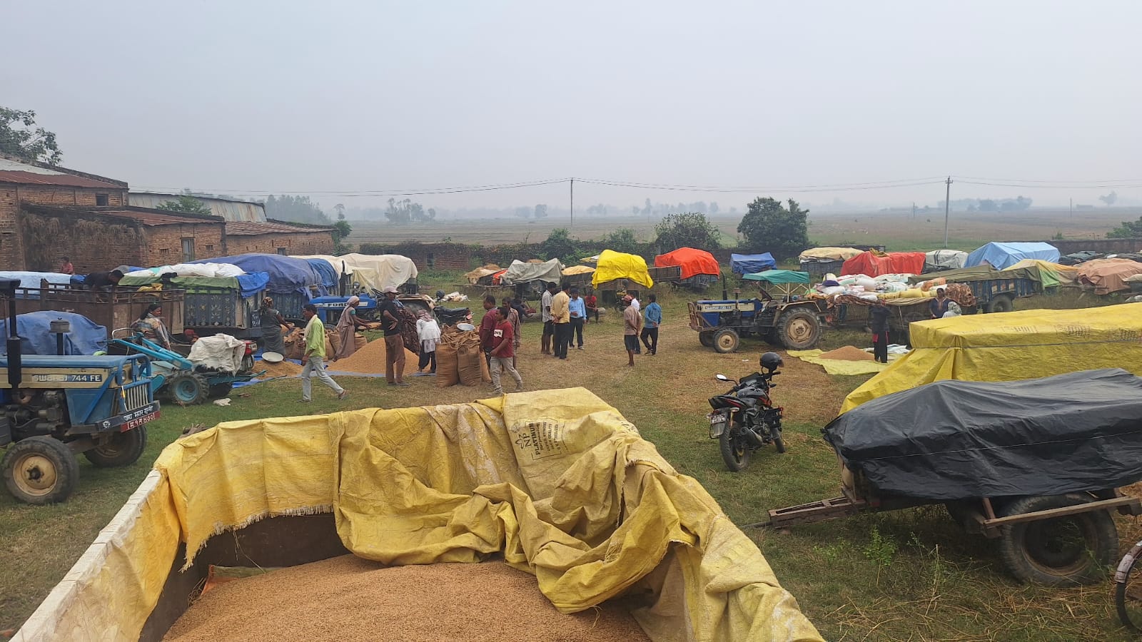 Image of https://mayorsap.com/storage/photos/shares/dhan-2.jpg